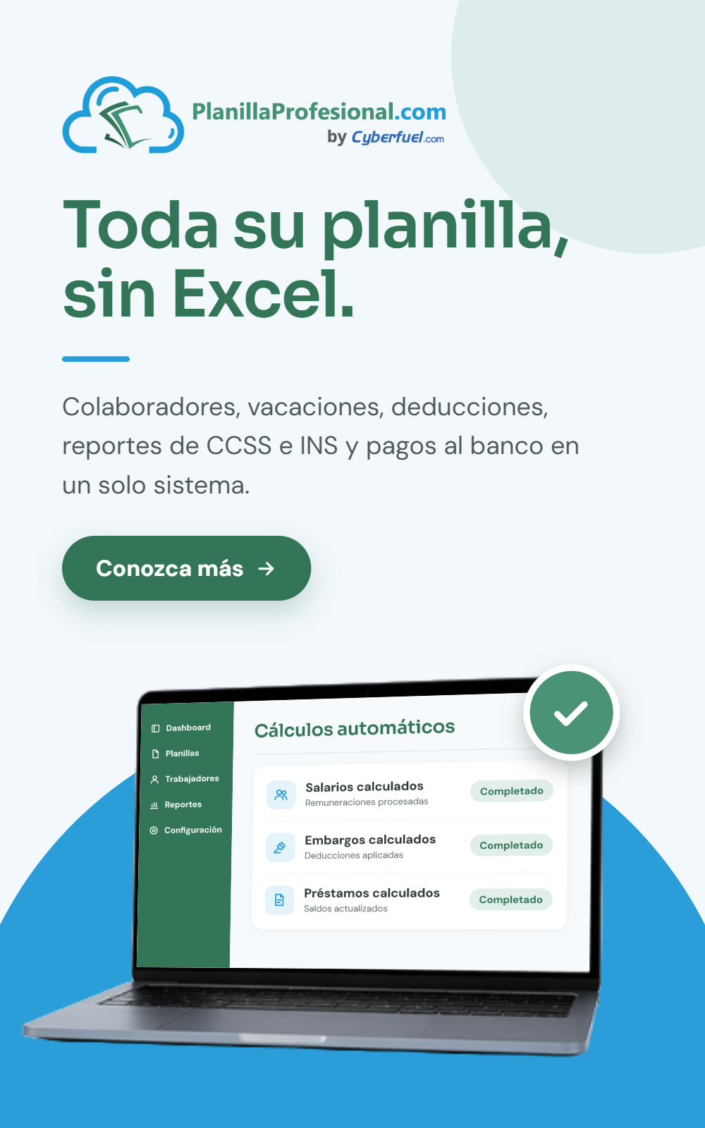 Planilla Profesional