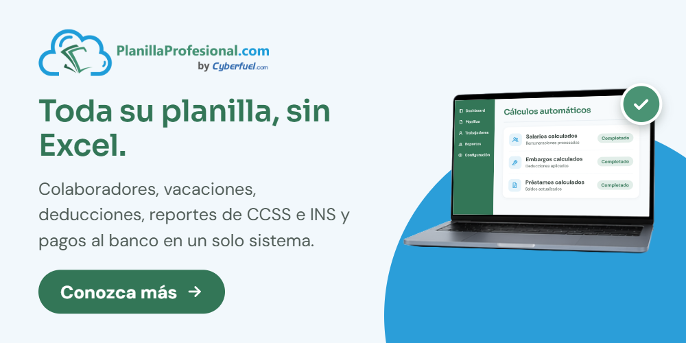 Planilla Profesional