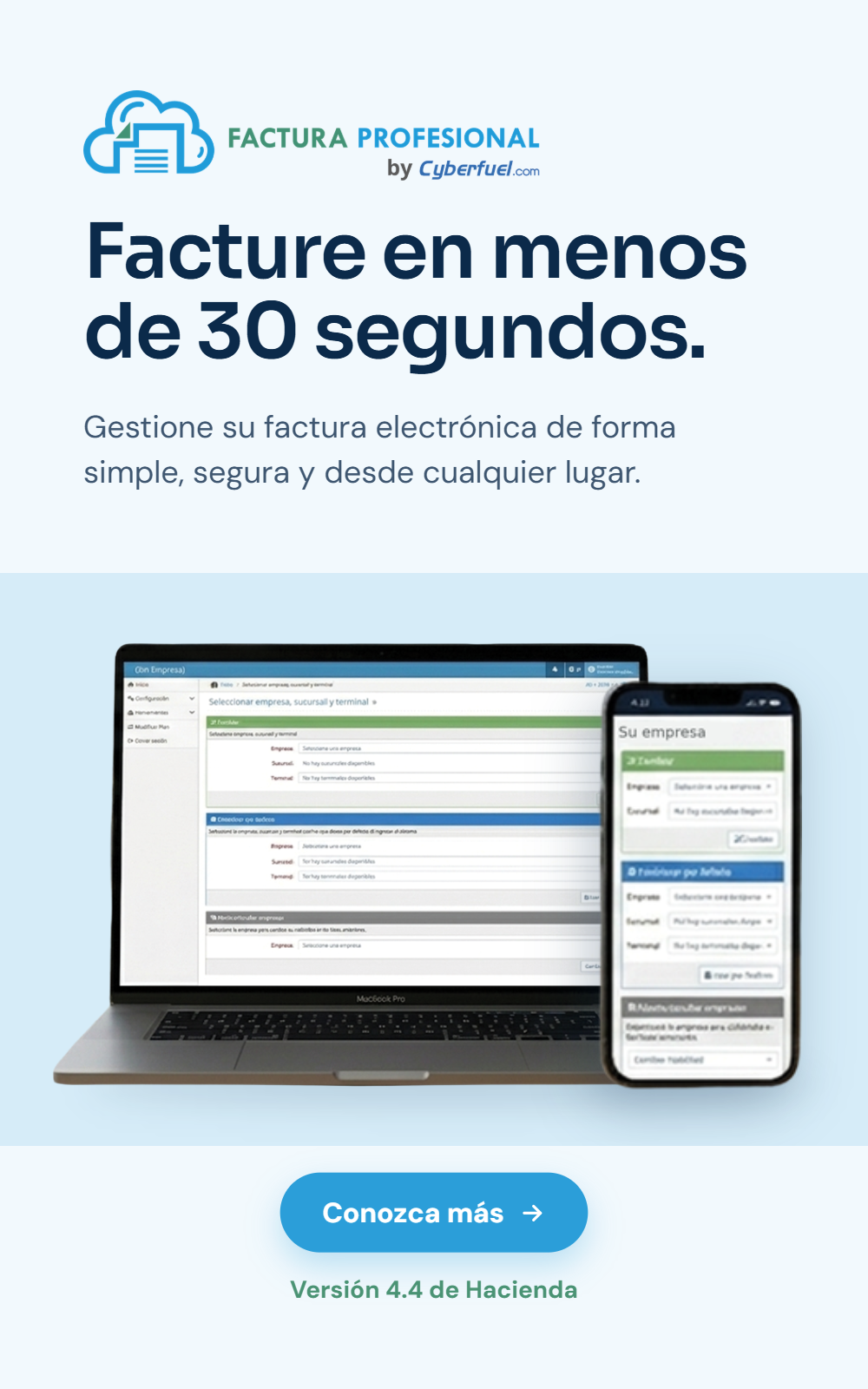 Factura Profesional